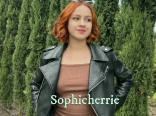 Sophicherrie