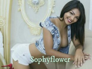 Sophyflower