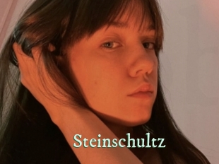 Steinschultz