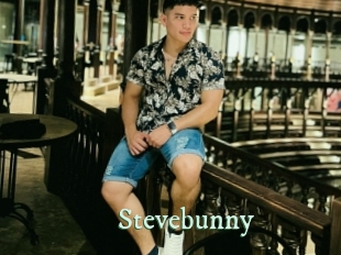 Stevebunny