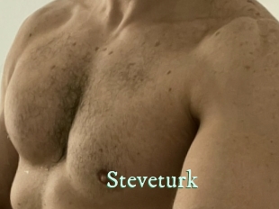 Steveturk