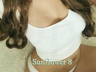 Sunflower_8