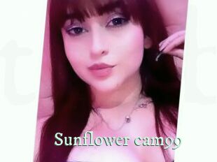 Sunflower_cam99