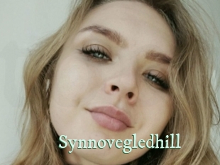 Synnovegledhill