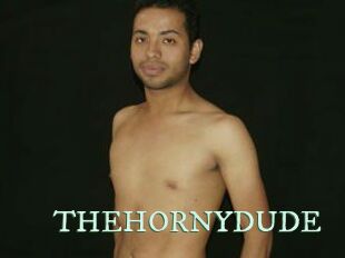 THEHORNYDUDE