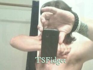 TSFidget