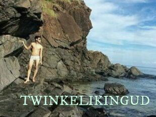 TWINKELIKINGUD