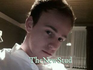 TheNewStud