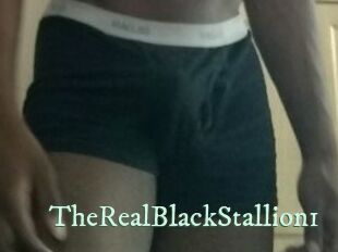 TheRealBlackStallion1