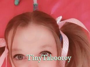 TinyTabootoy