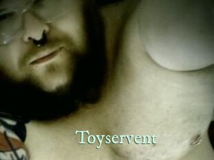 Toyservent