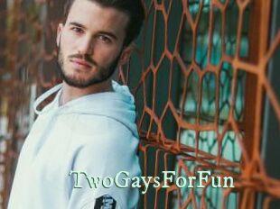 TwoGaysForFun