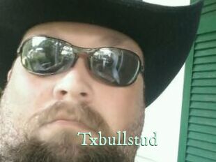 Txbullstud