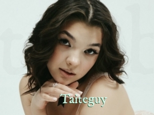 Taiteguy