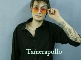 Tamerapollo