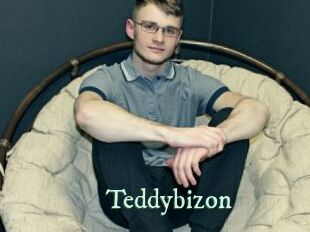 Teddybizon