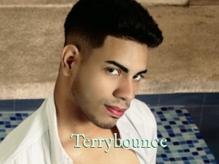 Terrybounce