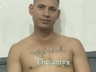 Thesantyx