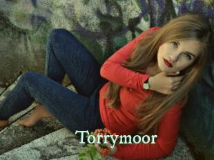 Torrymoor