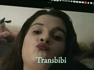 Transbibi