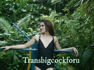 Transbigcockforu