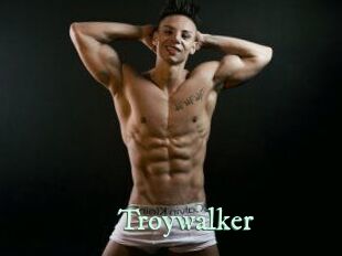 Troywalker