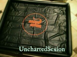 UnchartedSexion