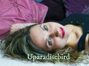 Uparadisebird