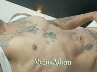 VeinsAdam