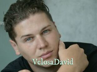 VelosaDavid
