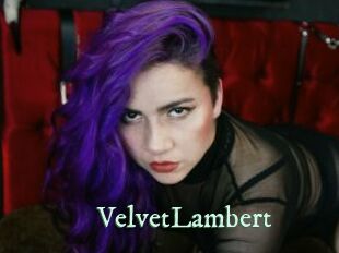 VelvetLambert