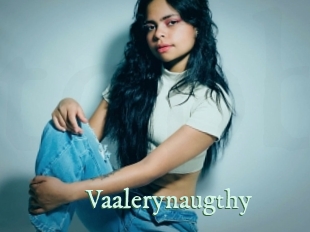 Vaalerynaugthy