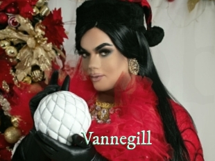 Vannegill