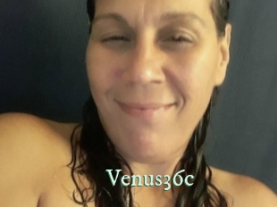 Venus36c