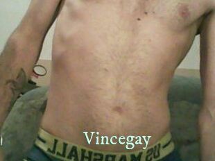 Vincegay