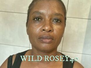 WILD_ROSEY40