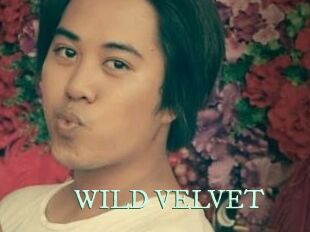 WILD_VELVET