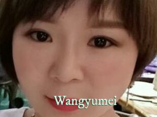 Wangyumei Top Blog X