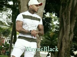 WayneBlack