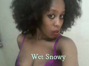 Wet_Snowy