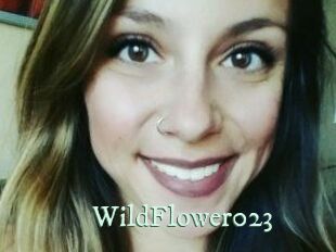 WildFlower023