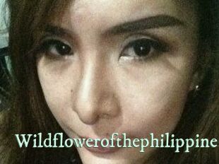 Wildflowerofthephilippines