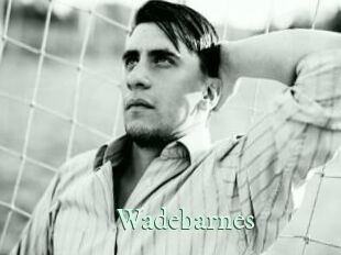 Wadebarnes