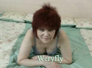 Weryfly