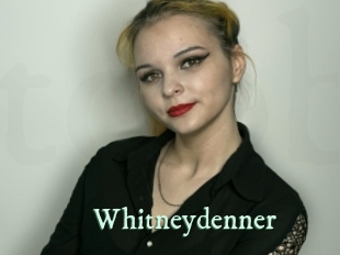 whitneydenner Top Blog X