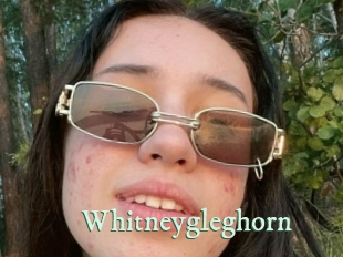 Whitneygleghorn