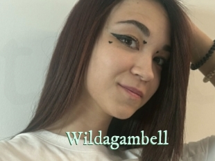 Wildagambell