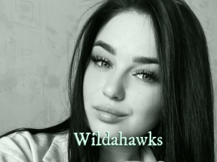 wildahawks Top Blog X