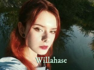 Willahase