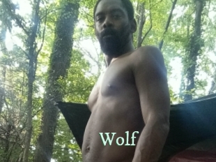 wolf Top Blog X